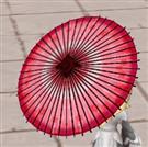 桜番傘(右)