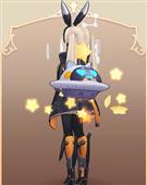 Raccoom-Type:A(男女共通)