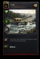 USA_T30